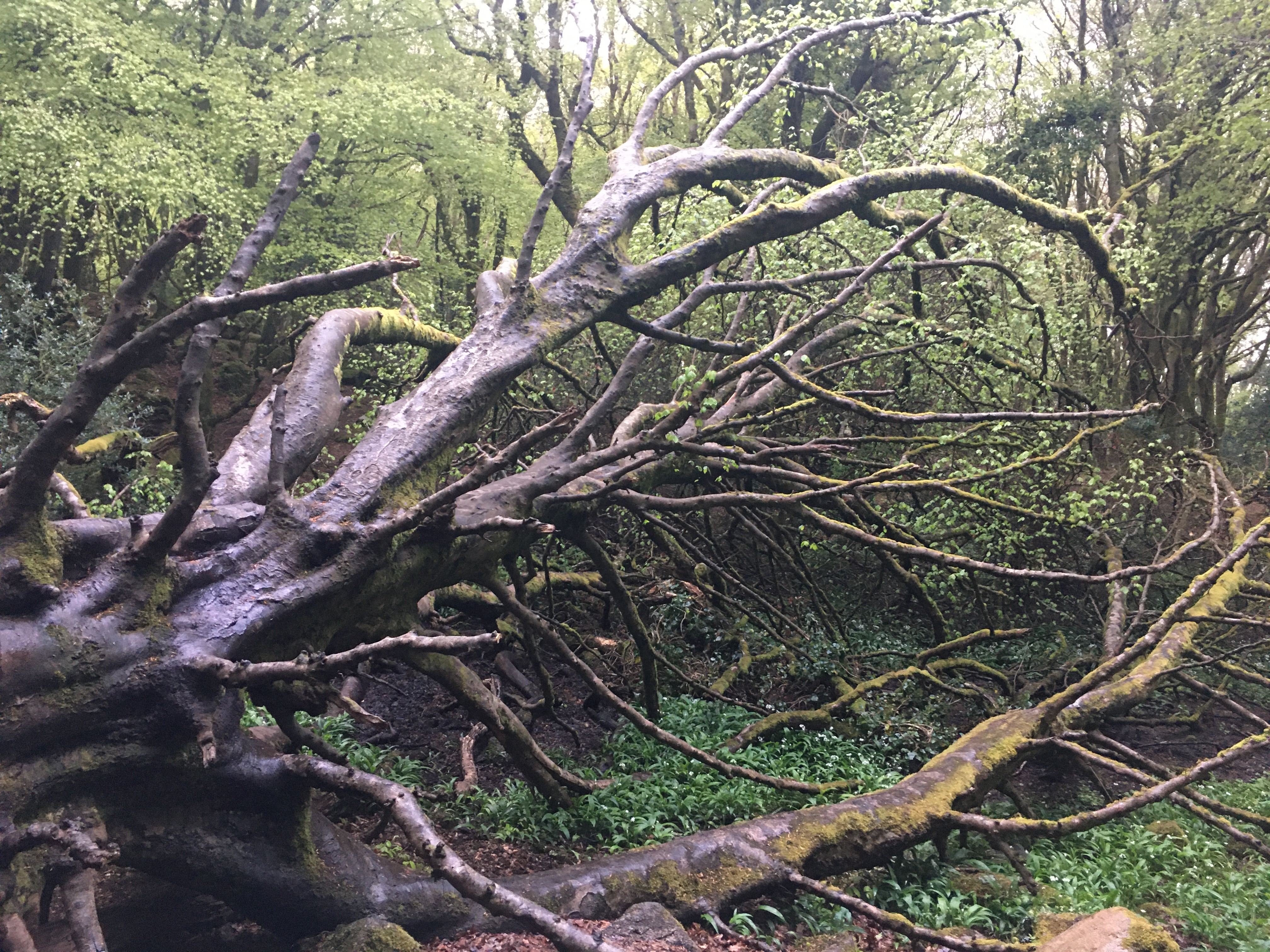 B4191AF5-0BA9-4700-A8E2-2B87AEF60D25